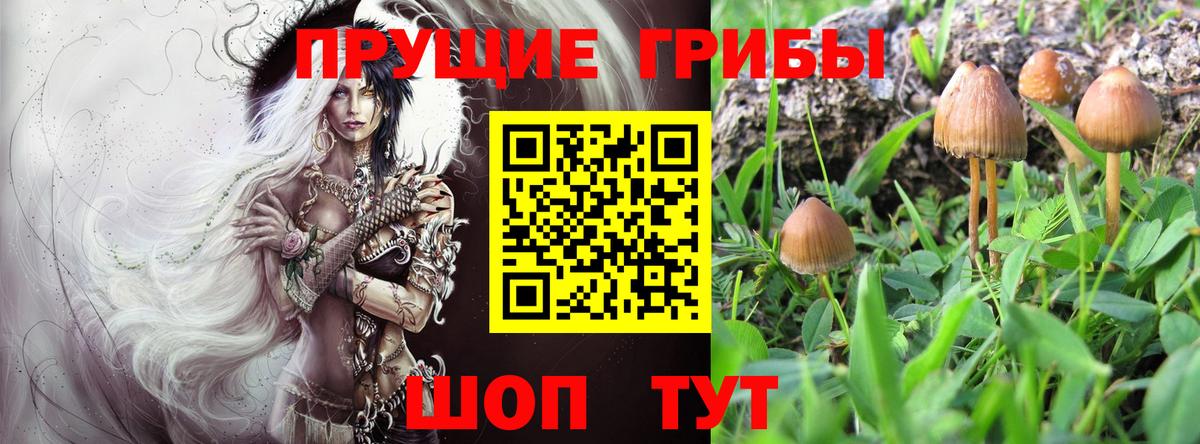 Ноябрьск  Галлюциногенные грибы Psilocybine cubensis  Галлюциногенные грибы ЛСД  Вход с VPN 