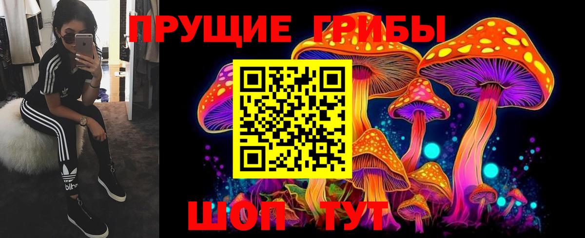 Псилоцибиновые грибы прущие грибы Ноябрьск